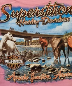 Superstition Harley-Davidson Kids Harley-Davidson® Big Girls Lacey Willie G Skull Short Sleeve T-Shirt, Pink