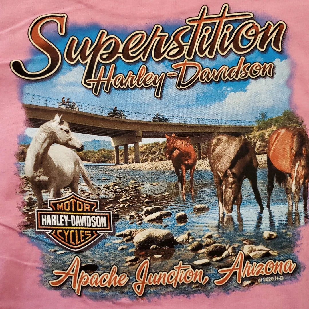 Superstition Harley-Davidson Kids Harley-Davidson® Big Girls Lacey Willie G Skull Short Sleeve T-Shirt, Pink 4 Superstition Harley-Davidson Kids Harley-Davidson® Big Girls Lacey Willie G Skull Short Sleeve T-Shirt, Pink