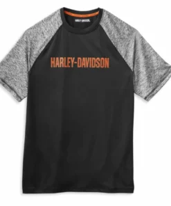 Short Sleeve Shirts Harley-Davidson® Men's Performance Color-block Wicking Tee, 99063-21VM