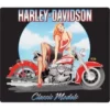 Ande Rooney Harley-Davidson® Classic Model Magnet, 2010392 Gifts & Collectibles 1 Ande Rooney Harley-Davidson® Classic Model Magnet, 2010392 Gifts & Collectibles