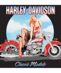 Ande Rooney Harley-Davidson® Classic Model Magnet, 2010392 Gifts & Collectibles