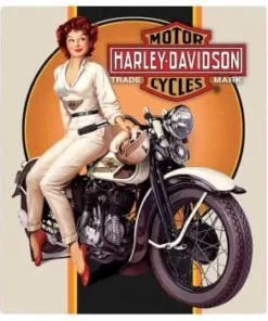 Ande Rooney Gifts & Collectibles Harley-Davidson® Dreaming Babe Embossed Magnet 2010462