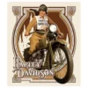 Ande Rooney Harley Davidson® Nouveau Babe Embossed Tin Sign 2010581 Home