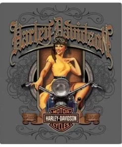 Ande Rooney Harley Davidson® Old Scroll Babe Magnet 2010592