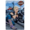 Ande Rooney Harley-Davidson® Finishing Touch Motorcycle Girl Embossed Tin Sign 2010911 2 Ande Rooney Harley-Davidson® Finishing Touch Motorcycle Girl Embossed Tin Sign 2010911