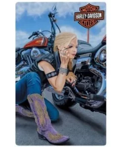 Ande Rooney Harley-Davidson® Finishing Touch Motorcycle Girl Embossed Tin Sign 2010911