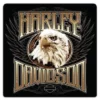 Ande Rooney Harley-Davidson® Eagle Stare Embossed Tin Sign, 14.5 X 14.5 Inches 2011891