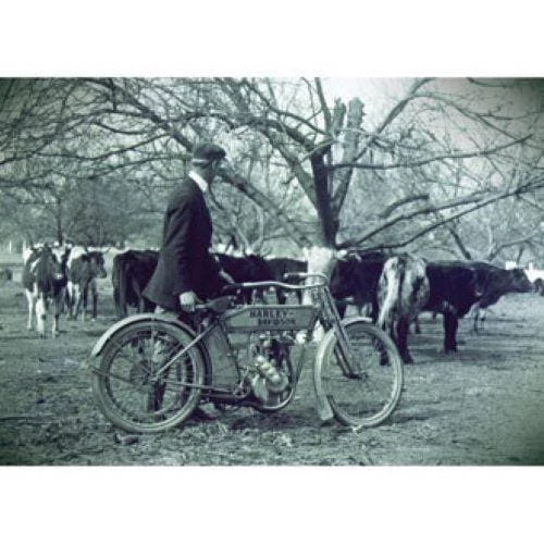 Ace Branded Harley-Davidson® Retirement Cows Come Home Greeting Card - HDL-20016 3 Ace Branded Harley-Davidson® Retirement Cows Come Home Greeting Card - HDL-20016