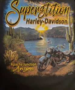 Superstition Harley-Davidson Harley-Davidson® Women's Large Underline Zip Hoodie, Black