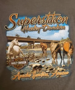 Superstition Harley-Davidson Harley-Davidson® Women's Collegegiate Raglan Long Sleeve Tee, Black/Charcoal Dealership T-Shirts