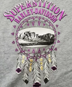 Superstition Harley-Davidson Harley-Davidson® Big Girls' Starry Retro Short Sleeve Tee, Heather Gray Kids