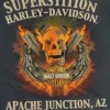 Superstition Harley-Davidson Harley-Davidson® Men's High Risk Long Sleeve Tee, Navy