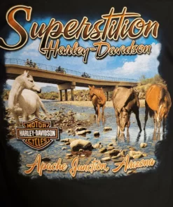 Superstition Harley-Davidson Harley-Davidson® Salt River Wild Horses Pull-Over Hoodie, Black