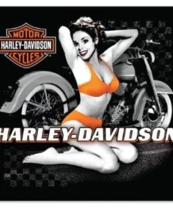 Ande Rooney Signs & Wall Art Harley-Davidson® Flash Babe Embossed Tin Sign, 2012021
