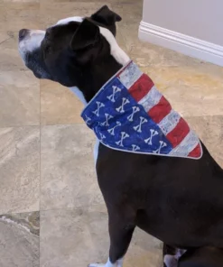 Hair Glove® American Crossbones Flag Dog Danna