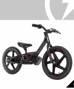 Harley-Davidson® IRONe Graphic Kit, 610309 Kids