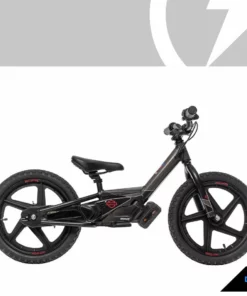 Harley-Davidson® IRONe Graphic Kit, 610309 Kids