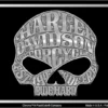 Chroma Harley-Davidson® Willie G Skull Stamped Metal Front License Plate CG55001
