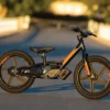 Harley-Davidson® Brushless IRONe 16 Electric Balance Bike, 100009 Kids