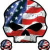 Chroma Harley-Davidson® Red, White, & Blue Willie G Skull, CG25055