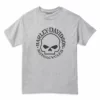 Short Sleeve Shirts Harley-Davidson® Men's XL Skull Short Sleeve Tee, Grey 99022-22VM