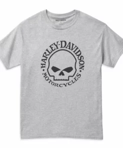 Short Sleeve Shirts Harley-Davidson® Men's XL Skull Short Sleeve Tee, Grey 99022-22VM