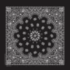 TAW Gear® Paisley Print Bandanas, Variety Of 6 Colors