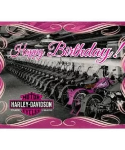 Ace Branded Harley-Davidson® One Of A Kind Birthday Card HDL-20071 Gifts & Collectibles