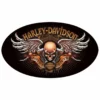 Ande Rooney Harley-Davidson® Biker To The Bone Oval Die-Cut And Embossed Magnet, 2010442 Gifts & Collectibles