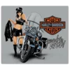 Ande Rooney Harley Davidson® Jacket Babe Embossed Tin Sign, 2011181