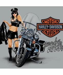 Ande Rooney Harley Davidson® Jacket Babe Embossed Tin Sign, 2011181