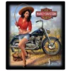 Ande Rooney Home Harley Davidson® Nice Catch Babe Embossed Tin Sign 2010811