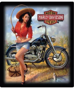 Ande Rooney Home Harley Davidson® Nice Catch Babe Embossed Tin Sign 2010811