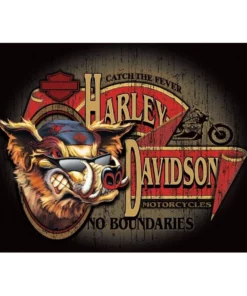 Ande Rooney Harley-Davidson® No Boundaries Hog Embossed Magnet 2010492 Gifts & Collectibles