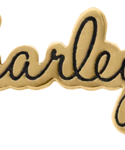 MOD Harley-Davidson® Women's Stainless Steel Harley Script Rally Charm, Gold Or Silver Jewelry