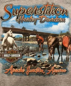 Superstition Harley-Davidson Harley-Davidson® Etched Logo Wild Horse Pull-Over Hoodie, Gray Sweaters & Hoodies