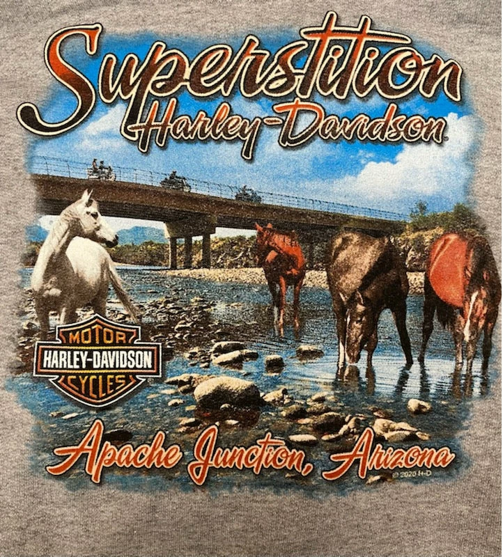 Superstition Harley-Davidson Harley-Davidson® Etched Logo Wild Horse Pull-Over Hoodie, Gray Sweaters & Hoodies 4 Superstition Harley-Davidson Harley-Davidson® Etched Logo Wild Horse Pull-Over Hoodie, Gray Sweaters & Hoodies