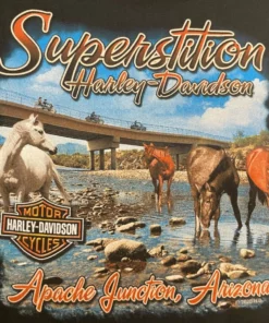 Superstition Harley-Davidson Dealership T-Shirts Harley-Davidson® Women's Circle Shoulder Long Sleeve Shirt, Black