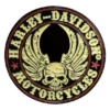 Symbol Arts Gifts & Collectibles Harley-Davidson® 1" Winged Skull Pin, 8008901