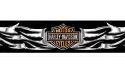 Chroma Harley-Davidson® Flames Bar & Shield Windshield Sunshade Decal, Black, CG3440