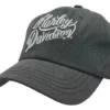 Superstition Harley-Davidson Harley-Davidson® Wistful Text Curved Bill Adjustable Baseball Cap - Gray Hats