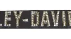 American Accessories Harley-Davidson® Women's Medium Crystal H-D Font, Black Leather Belt HDWBT10627
