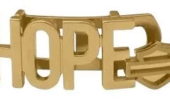 MOD Jewelry Harley-Davidson® Women's Stainless Steel Hope Rally Plate, Gold - HSP0103