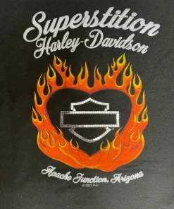 Superstition Harley-Davidson Sweater & Hoodies Harley-Davidson® Women's Heart Of Flames Pull-Over Hoodie, Black