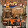 Superstition Harley-Davidson Dealership T-Shirts Harley-Davidson® Men's Tracking Text Usery Pass Long Sleeve Shirt